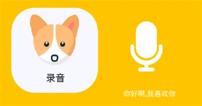 è����﷭������2026�ֻ���