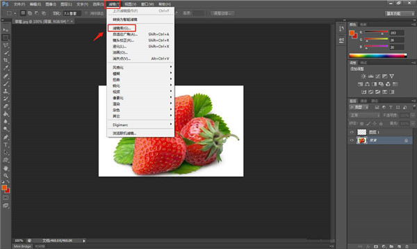 Adobe Photoshop 2025中文版免激活截图1