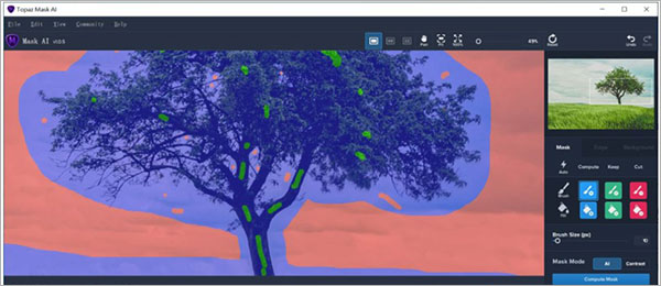 topaz mask ai�������ͼ0