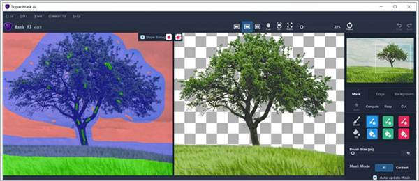 topaz mask ai�������ͼ1