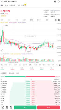 10000Ԫ�������USDT����ô��USDT���ֽ̳�2026�����°�