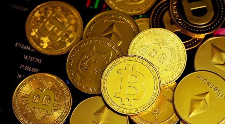 �й����ֻ������߽�� 2026����ڼ��ܻ��Ҽ����״