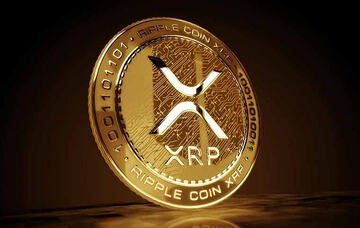 �𲨱ҽ�����ʮ������ 2026��XRP�𲨱ҽ���ƽ̨�Ƽ�