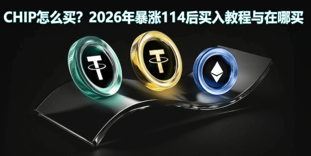 CHIP��ô��2026�걩��114������̳���������