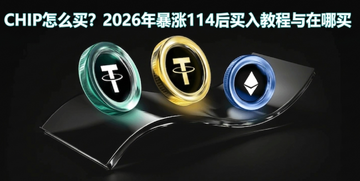 CHIP��ô��2026�걩��114������̳���������