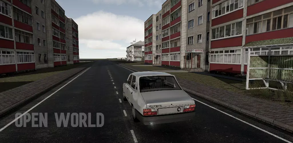 驾驶专家2最新手机版v0.85安卓版截图1