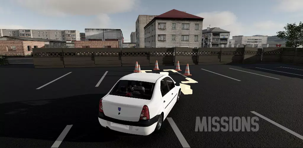 驾驶专家2最新手机版v0.85安卓版截图0