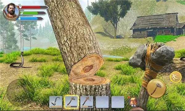 ������Ŷ�2026�ٷ����°汾v1.0�ֻ����ͼ2