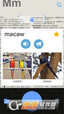 Ӣ����ʵ�2026���°汾v2.180.1��Ѱ��ͼ2