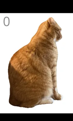 ��è��ë���°�׿��v1.0�ֻ����ͼ0