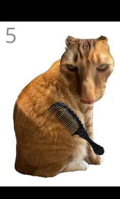 ��è��ë���°�׿��v1.0�ֻ����ͼ3