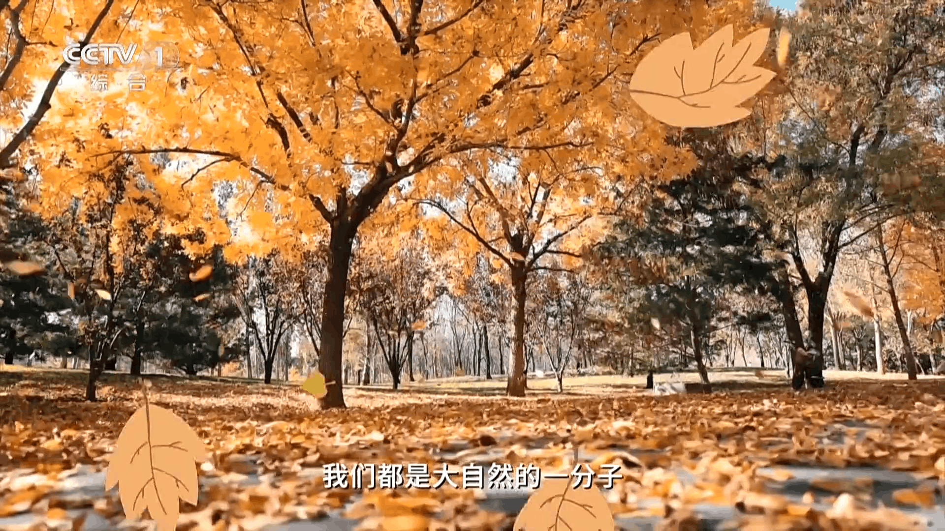 ����ͨtv���Ӱ����°�1.0.0��Ѱ��ͼ3