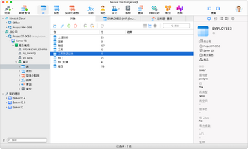 Navicat for PostgreSQL 17 Mac中文版 Navicat for PostgreSQL 17 Mac中文版