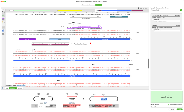 SnapGene mac�汾