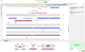 SnapGene mac版本 SnapGene mac版本