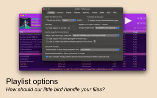 Colibri for mac(无损音乐播放器)截图0