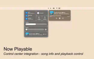 Colibri for mac(无损音乐播放器)截图4