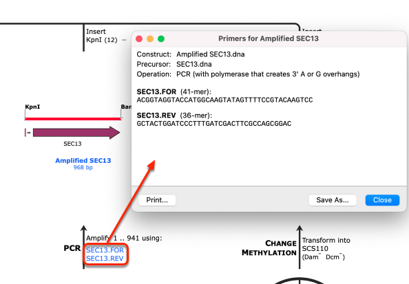 SnapGene mac�汾��ͼ1