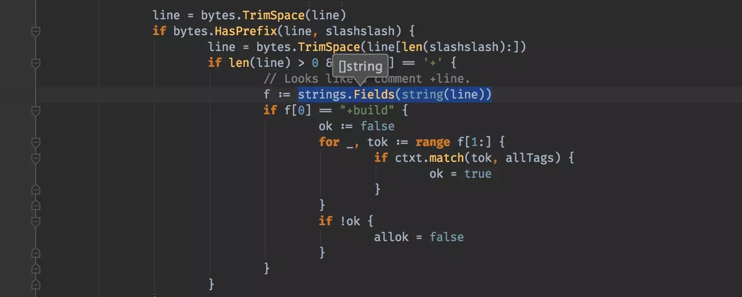 jetbrains goland 2024 mac���ͼ1