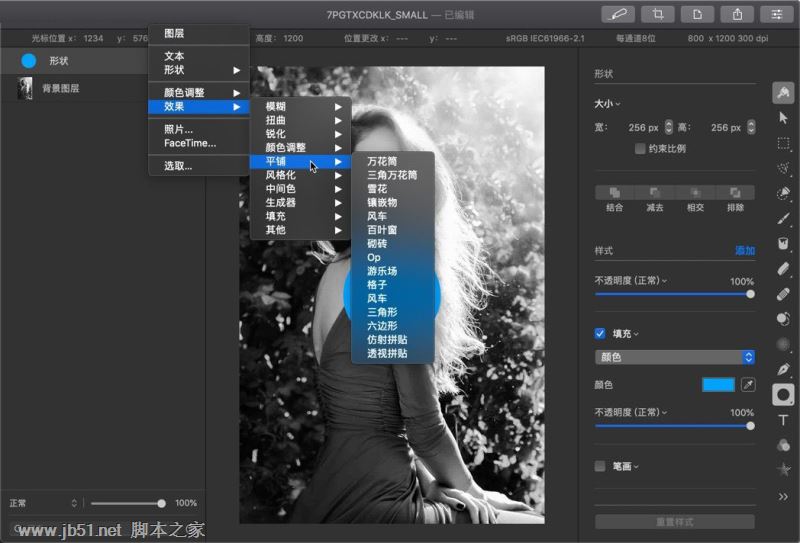 Apple Pixelmator Pro Mac���İ��ͼ1