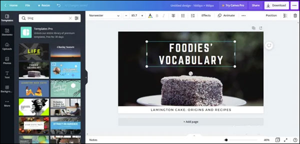 Canva�ɻ�ƻ�����԰��ͼ1