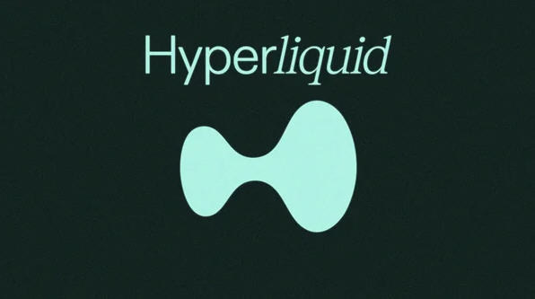 HYPE����ʲô�ң�Hyperliquid HYPE��ֵ������HYPE�ҽ��ռ۸�����