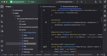 intellij idea ultimate 2024苹果电脑版 intellij idea ultimate 2024苹果电脑版