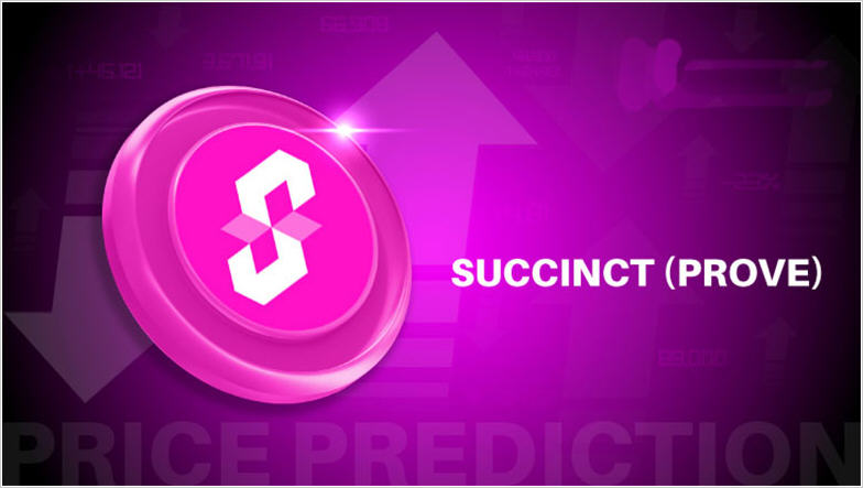 PROVE�����������PROVE��Ǳ����Succinct��֪ʶ֤��������Ƚ���