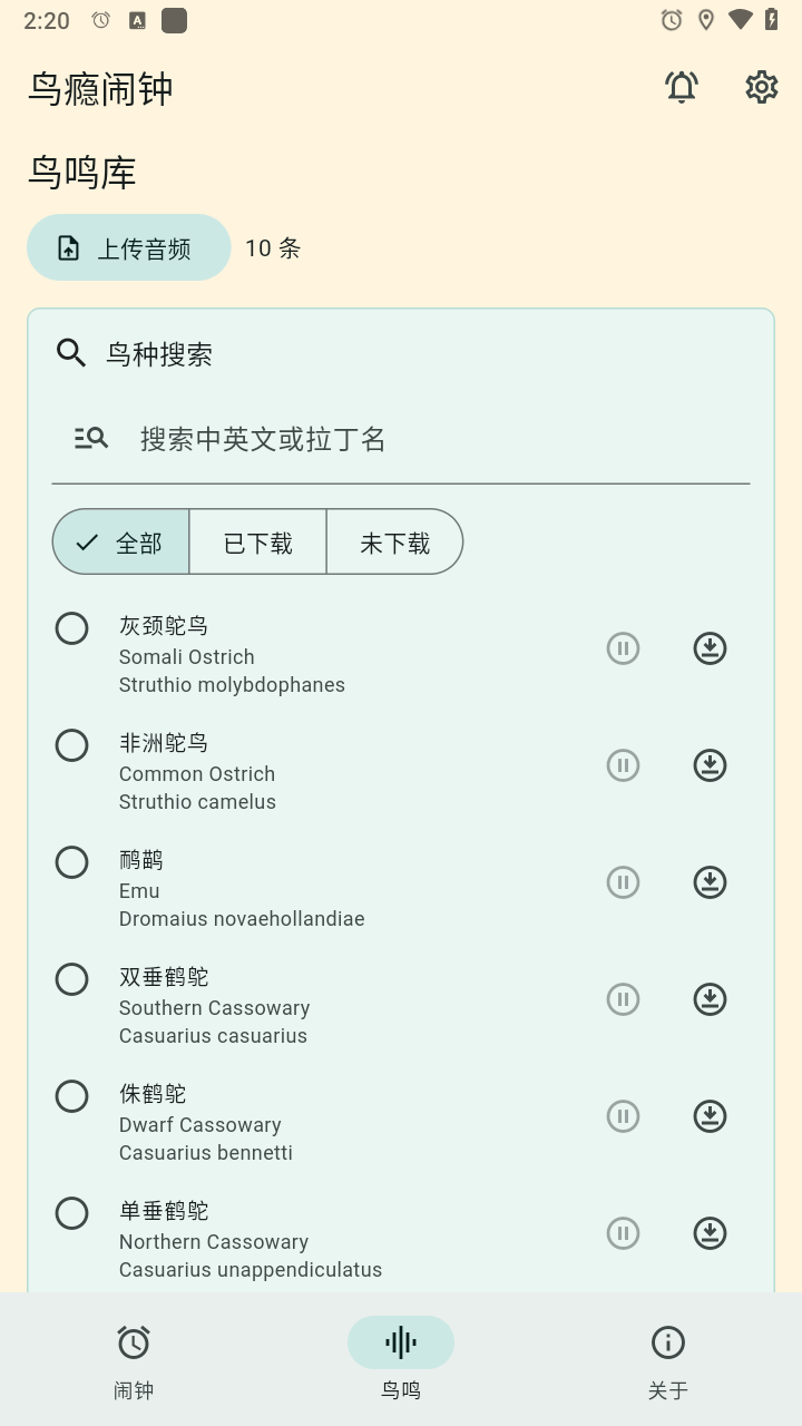 鸟瘾闹钟 鸟瘾闹钟