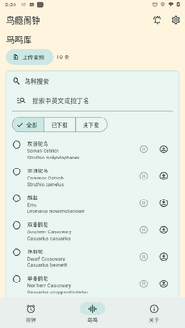 鸟瘾闹钟 鸟瘾闹钟