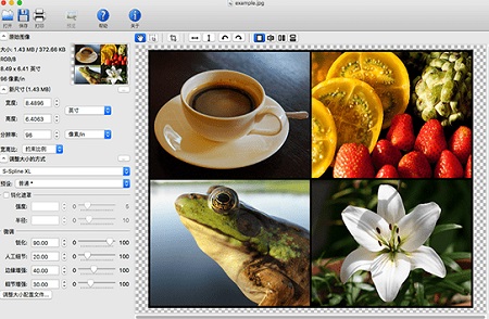 PhotoZoom Pro for mac PhotoZoom Pro for mac