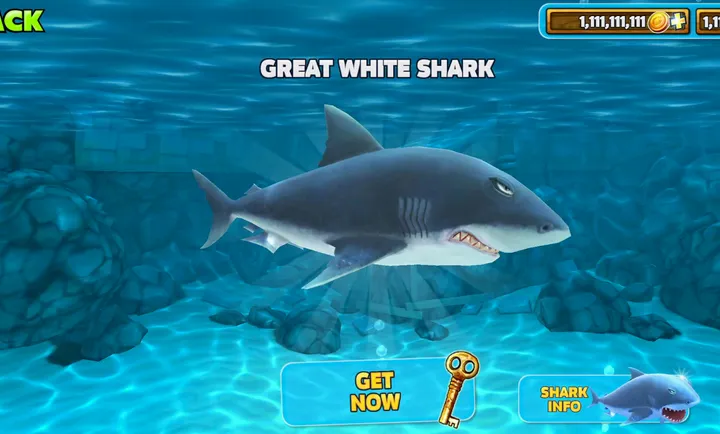Hungry Shark5.9.22026官方最新版本v5.9.2手机版截图1