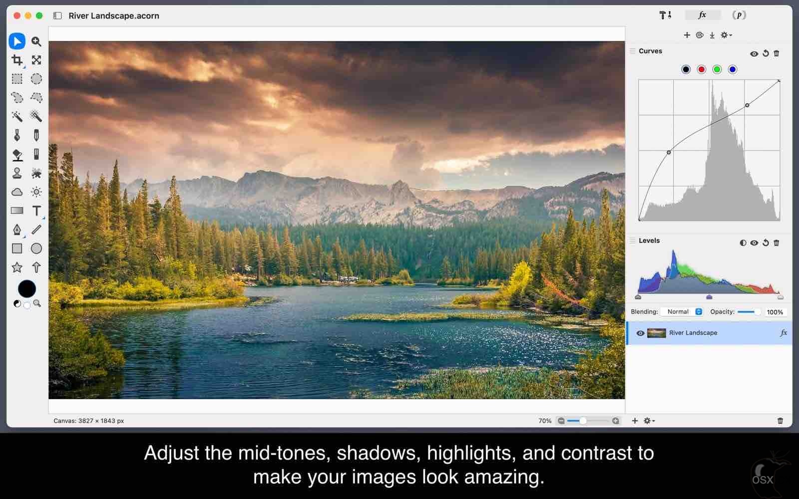 Acorn for Mac苹果版2026截图1