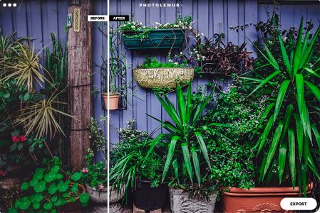 photolemur 3 for mac官方版截图2