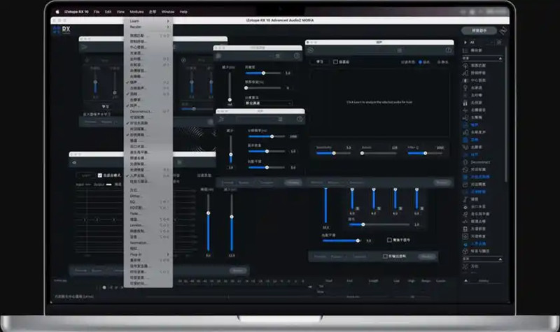 iZotope RX 10 for Mac截图2