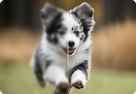 VidHex for Mac��ͼ2