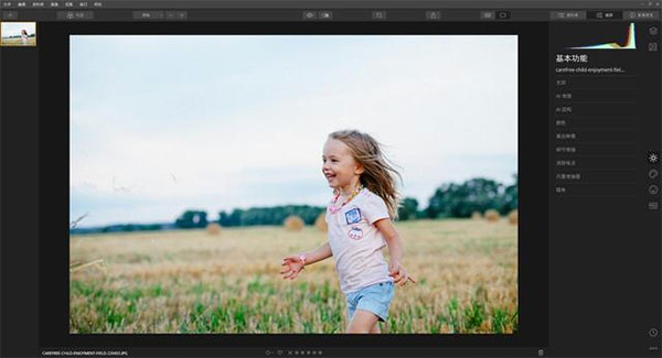 luminar ai macƻ�����԰��ͼ0