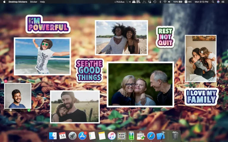 Desktop Stickers for Mac苹果电脑版截图4