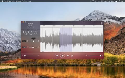 Stringed 2 for mac电脑版(音频编辑工具)截图1