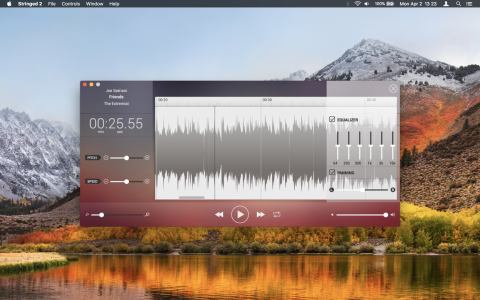 Stringed 2 for mac电脑版(音频编辑工具)截图2