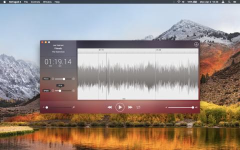 Stringed 2 for mac电脑版(音频编辑工具)截图3