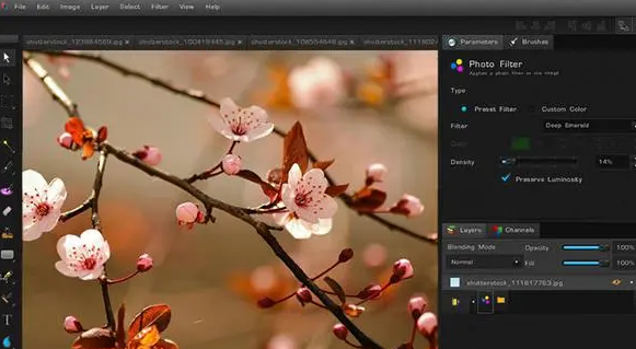 Bloom for Mac官方最新版截图2