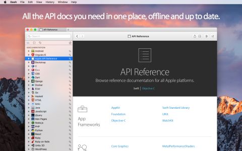 API文档浏览器Dash截图2