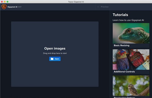 Topaz Gigapixel AI Mac官方版截图2