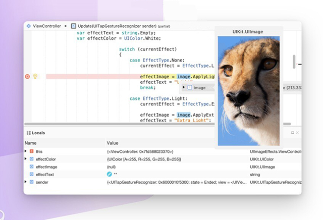 Visual Studio 2022 for Mac截图0