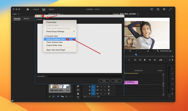 Adobe Premiere Pro 2025 for Mac���İ��ͼ2