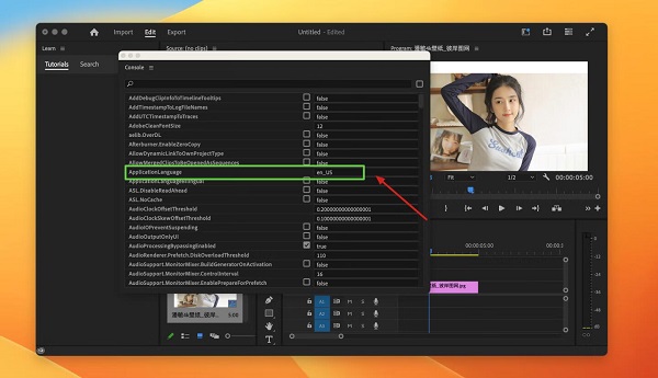 Adobe Premiere Pro 2025 for Mac���İ��ͼ3