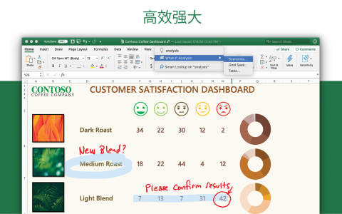 Microsoft Excel for mac电脑版截图4