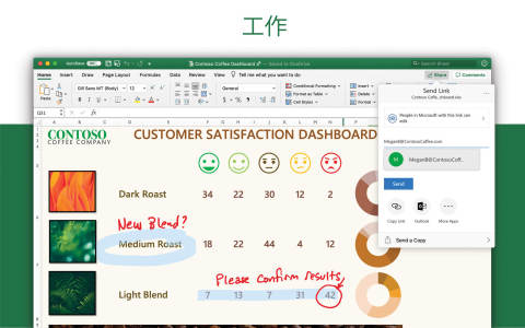 Microsoft Excel for mac电脑版截图3
