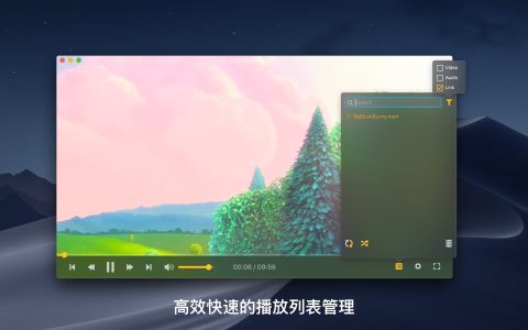 OmniPlayer for Mac安装包截图2